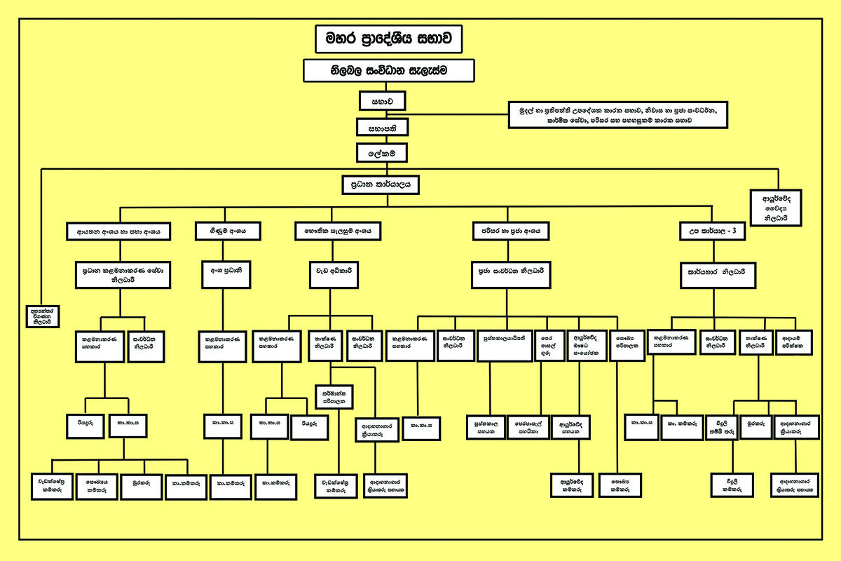 organizational structure